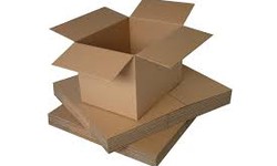 The Adaptability and Ecological Value of Carton Packaging