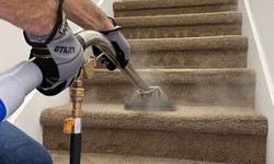 "From Stains to Splendor: Transforming Your Carpets"