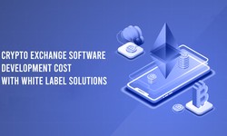 Crypto Exchange Software Development Cost with White Label Solutions