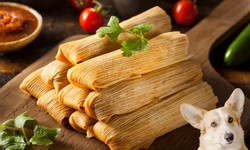 Can Dogs Eat Tamales? A Canine Perspective