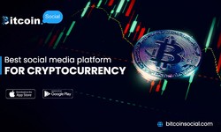 Which is the Best Social Media Platform for Cryptocurrency Chat?