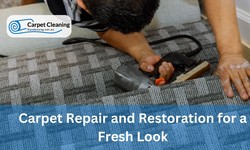 Carpet Repair and Restoration for a Fresh Look in Dandenong