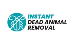 Dead Animal Removal: Understanding the Importance of Professional Services