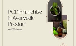 What Are the Effective Marketing Strategies for Ayurvedic PCD Franchises in India?