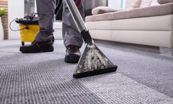Deep Clean Dream: The Essential Carpet Maintenance Manual