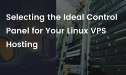 Selecting the Ideal Control Panel for Your Linux VPS Hosting