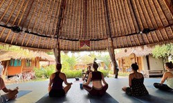 Bali Yoga Retreats