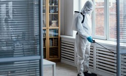 What to Gain from Hiring a Pest Control Service