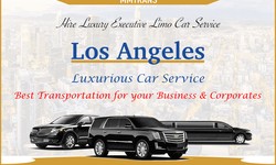 Riding in Style: How Airport Limo Services Can Upgrade Your Travel Experience?