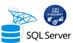 5 Essential Data Security Measures in SQL Server for Remote DBA