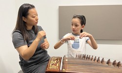 Harmony Unveiled: A Journey into the World of Guzheng Mastery