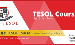 The Ultimate Guide to Online TESOL Training