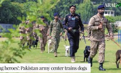 Unleashing Heroes The Army Dog Center