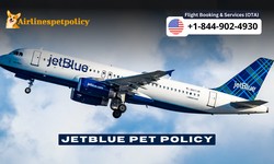 JetBlue Pet Policy - Cargo, In Cabin & Carrier Guidelines