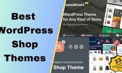WordPress Shop Themes To Boost Your Online Store