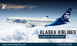 Alaska Airlines Check In | Everything You Need to Know