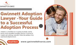 Gwinnett’s Top Adoption Lawyers: Who to Trust with Your Case