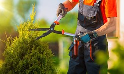 How Professional Landscaping Company Is Making a Difference