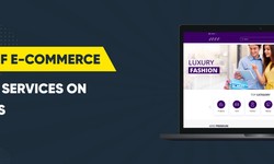 Who Needs Custom Ecommerce Development Services? Everyone According to the Experts