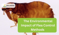 The Environmental Impact of Flea Control Methods in Rockingham