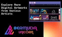 "Discovering the special digital world of NFTs at BermudaUnicorn.com."