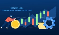 A Comprehensive Guide to Choosing the Best White Label Crypto Exchange Software for the Cloud
