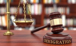 Navigating the Path to Permanent Residency: Your Guide to a Removal Defense Attorney in Chicago