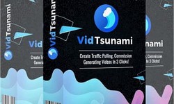 Vidtsunami Review– you really  Want  to  Earn money Online  and looking  for  a   Best  way  to get  More real  traffic for  your  website,youtube  channel  ?