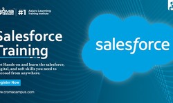 Unlocking Business Potential with Salesforce