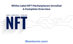 White Label NFT Marketplaces Unveiled: A Complete Overview