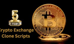 5 Best Crypto Exchange Clone Scripts To Launch Exchange Platforms