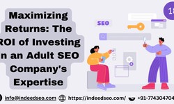 Maximizing Returns The ROI of Investing in an Adult SEO Company's Expertise