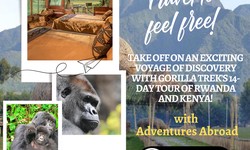Embark on a Journey of Discovery: 14-Day Rwanda & Kenya Tour with Gorilla Trek !
