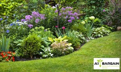 Gardening Maintenance: Keep Your Garden Looking its Best