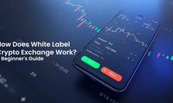How Does White Label Cryptocurrency Exchange Work? A Beginner's Guide