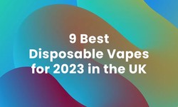 9 Best Disposable Vapes for 2023 in the UK