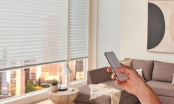 The Rise of Convenience: Exploring the Automation Trend with Motorized Blinds in Ottawa