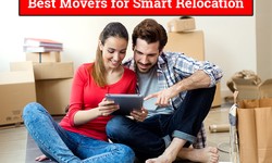 Limitations of Insurance Coverage Offered By Packers and Movers in East Delhi