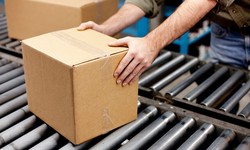 The Role and Importance of Warehousing Services in Modern Supply Chains