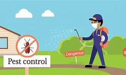 Eco-Friendly Pest Control Methods: Protecting Your Home And The Environment