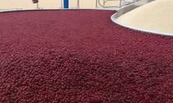 Dried Cranberries Manufacturing Plant Project Report 2023: Machinery and Business Plan