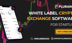 How white label cryptocurrency exchange helpful for startups?