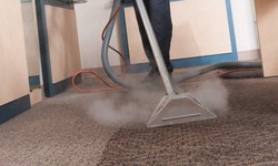 Stain Busters: How to Tackle Tough Carpet Stains with Ease