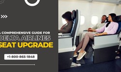 A Comprehensive Guide For  Delta Airlines Seat Upgrade