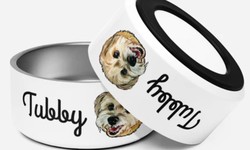 Why To Invest In Personalized Pet Bowls for Furry Buddy