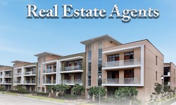 Top Real Estate Agents in Mohali - Hokis Property Adviser"