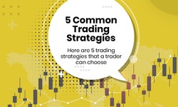 Reasons To Use stock trading app for beginners