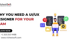 Why You Need a UI/UX Designer for Your Team