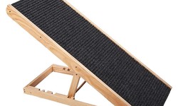 How Dog Ramps Enhance Your Canine Companion's Lifestyle