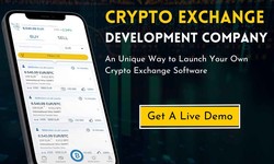 How to Evaluate the Credibility of a Crypto Exchange Development Company?